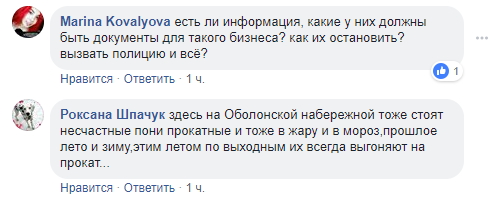 Бизнес на животных: в Одессе издеваются над лошадьми